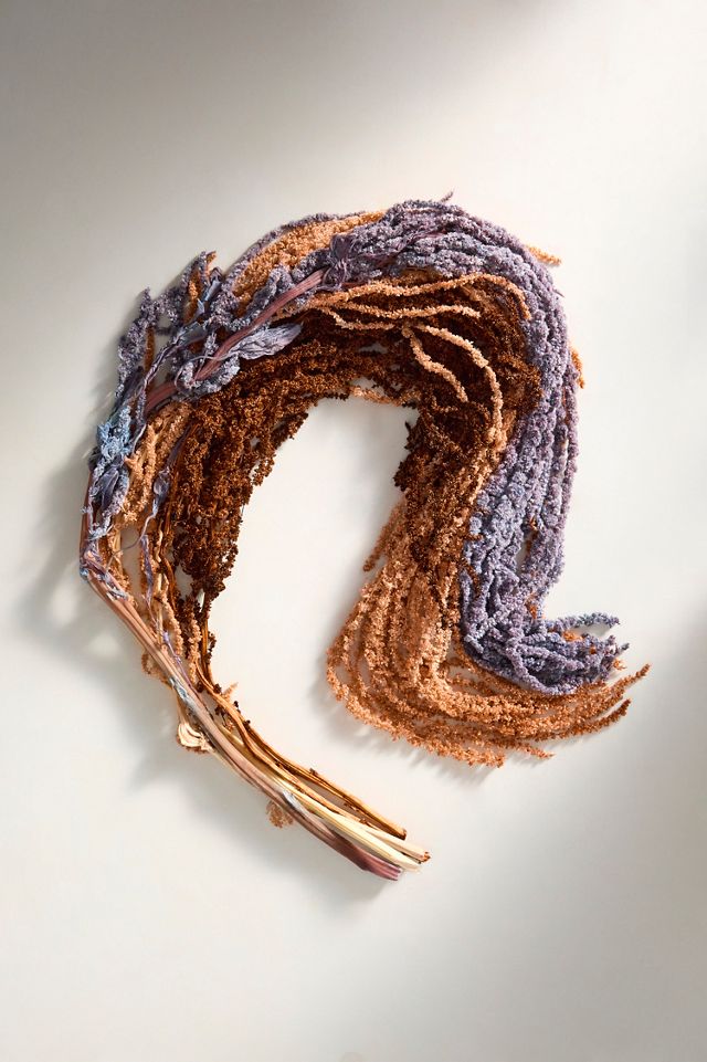 Dried Hanging Amaranth Bunch #2