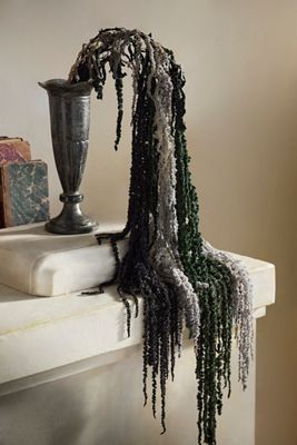 Dried Hanging Amaranth Bunch