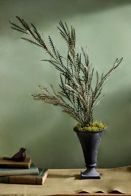 Dried Grevillea Bunch
