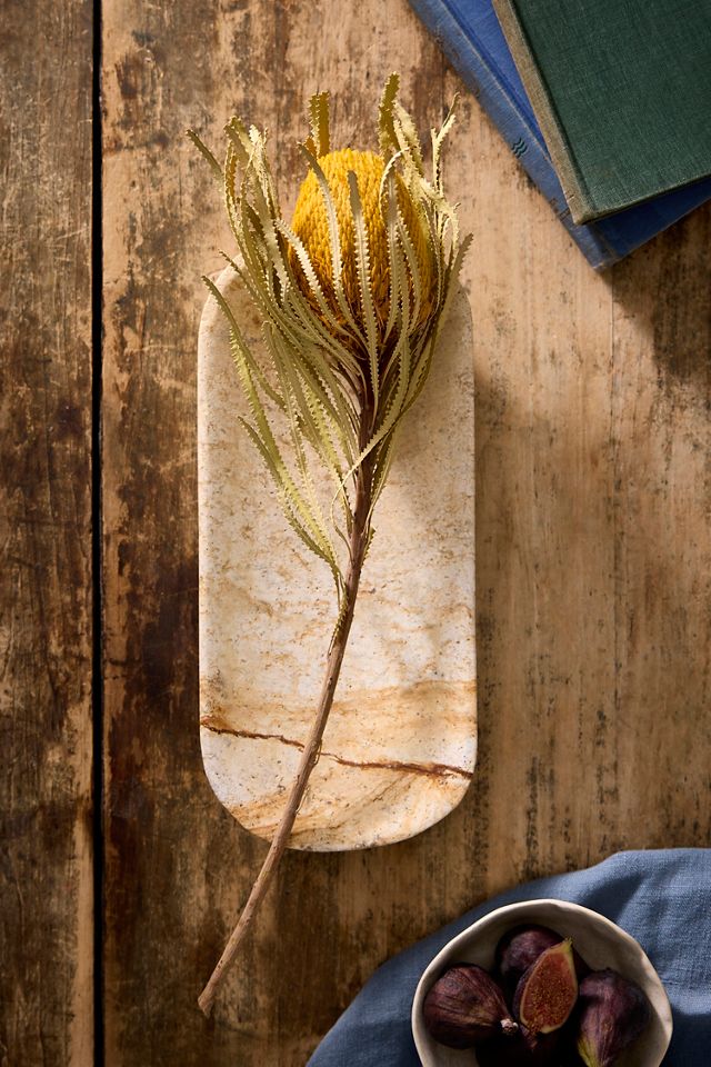 Dried Yellow Banksia Stem #1