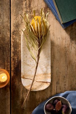 Dried Yellow Banksia Stem