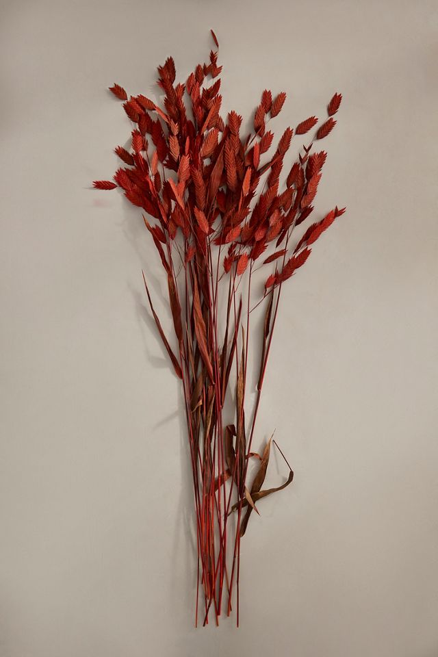 Dried Chasmanthium Bunch #2