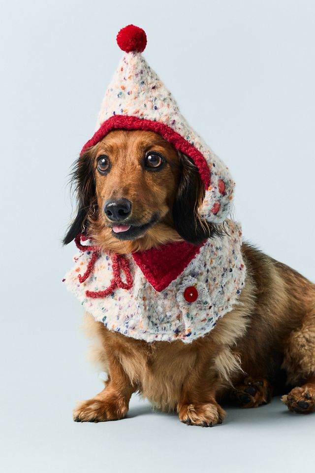 Hat & Bandana Pet Set #3