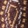 Brown Neutral