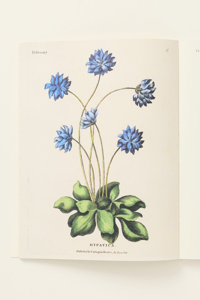 John Derian Coloring Book #1