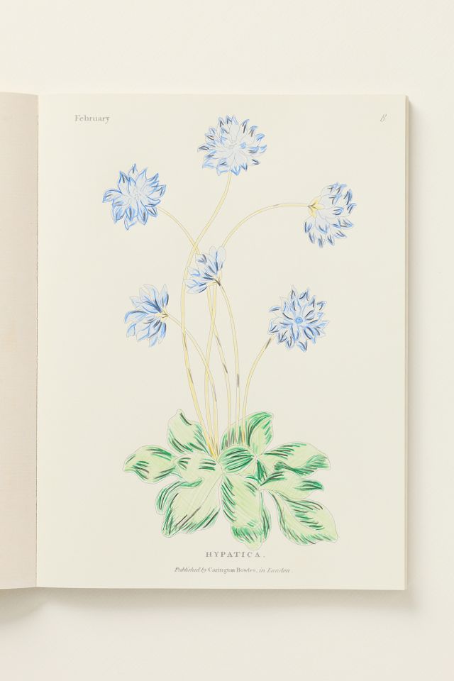 John Derian Coloring Book #2
