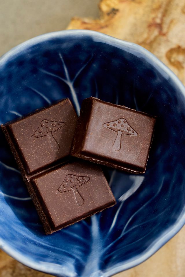 Alice Zen Mushroom Chocolates #1