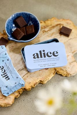 Alice Zen Mushroom Chocolates