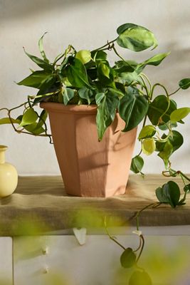 Hexagon Galestro Pot