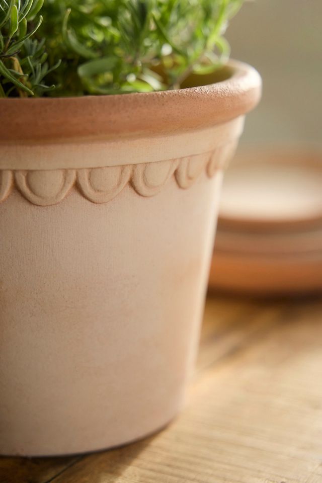 Terrace Galestro Pot #3