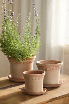Terrace Galestro Pot