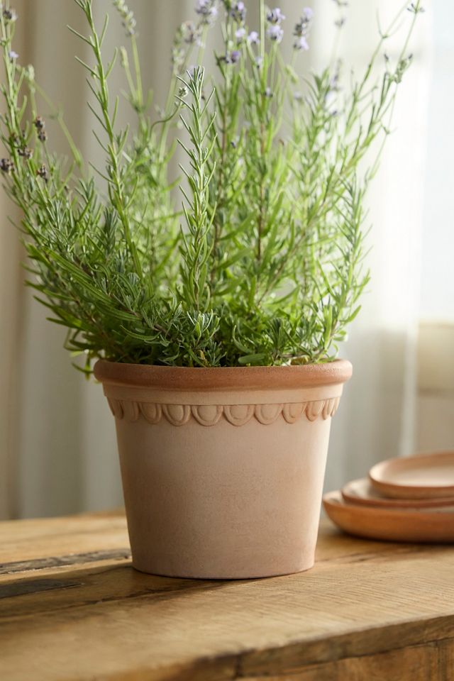 Terrace Galestro Pot #1