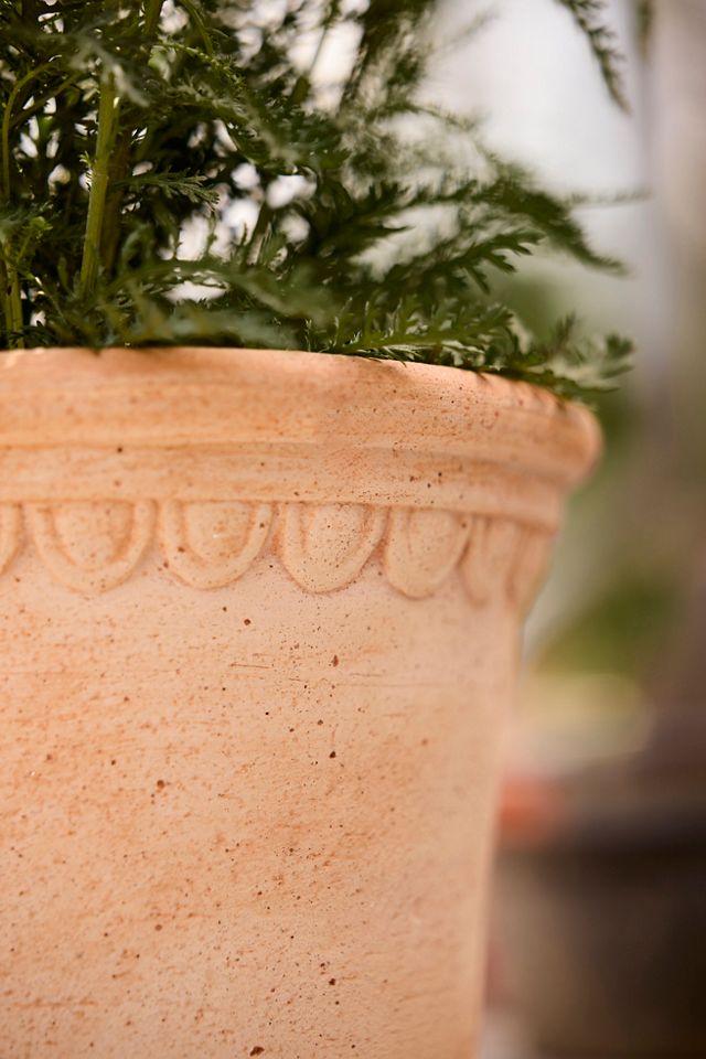 Terrace Galestro Pot #1