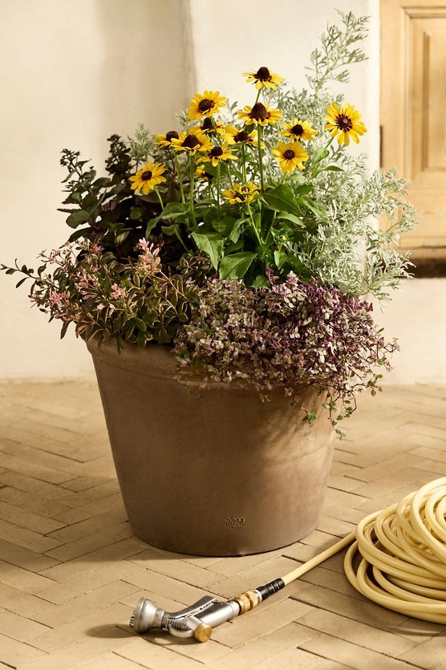 Outdoor Bergs Flora Galestro Terracotta Pot, Grey #1