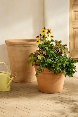 Outdoor Bergs Flora Terracotta Pot, Rose