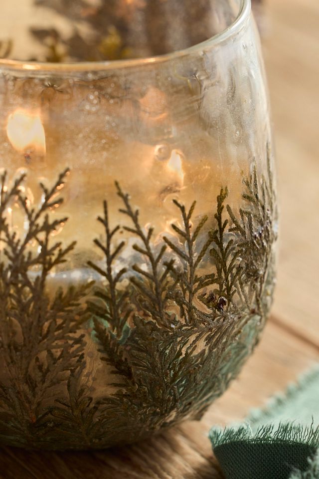 Linnea Cedar Branches Candle, Forest Fir #1