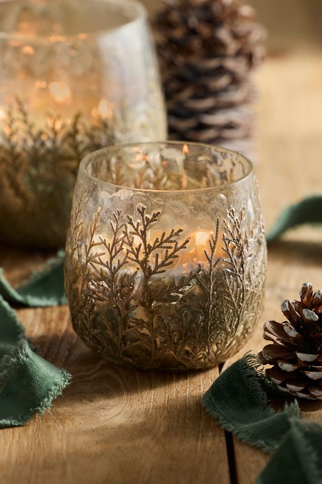 Linnea Cedar Branches Candle, Forest Fir #2