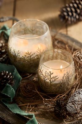 Linnea Cedar Branches Candle, Forest Fir