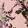 Pink Floral
