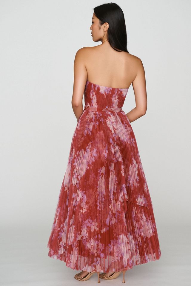 Hutch Noah Strapless Maxi Dress #2