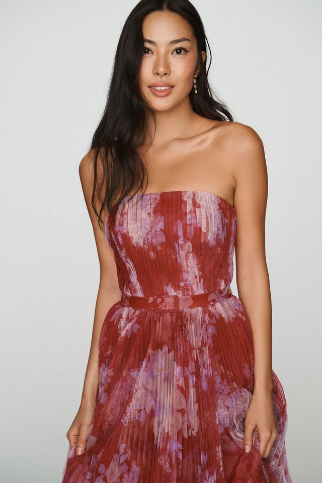 Hutch Noah Strapless Maxi Dress #3