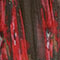 Red Floral