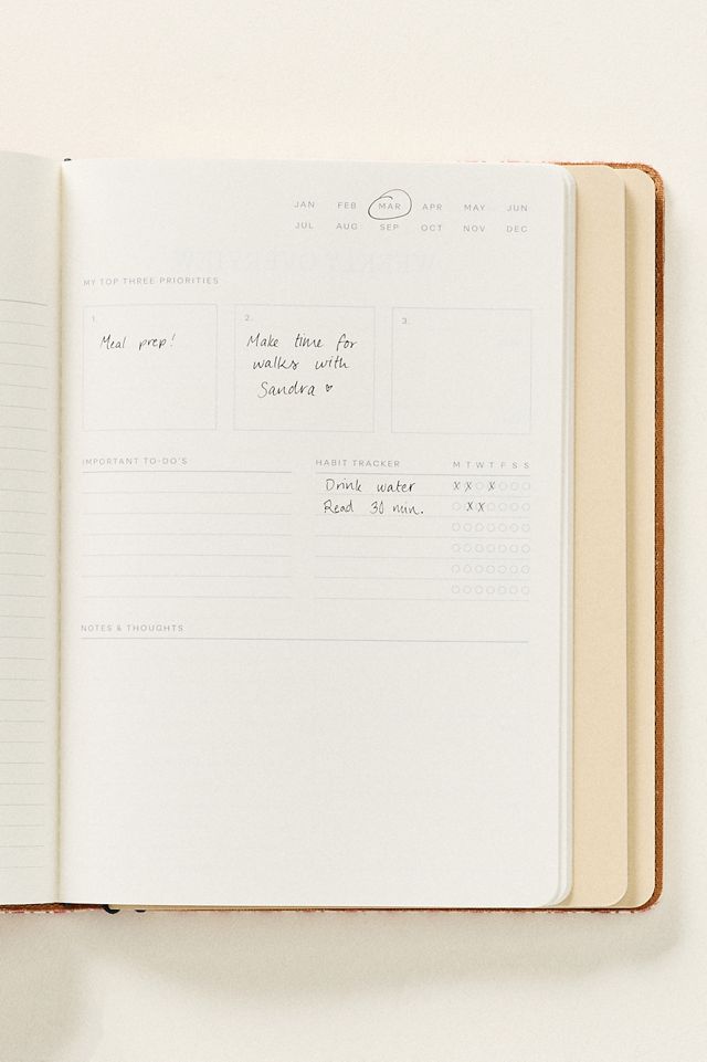 Papier X Anthropologie Striped Folio #1
