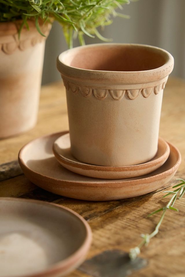 Terrain Terrace Galestro Saucer #1
