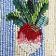 Radish