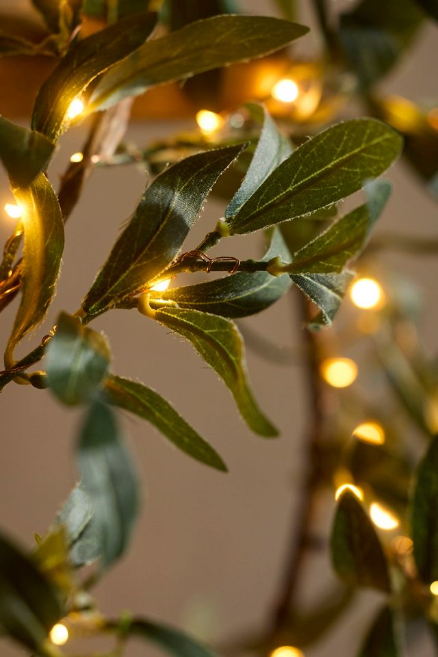 Olive LED Light Strand #1