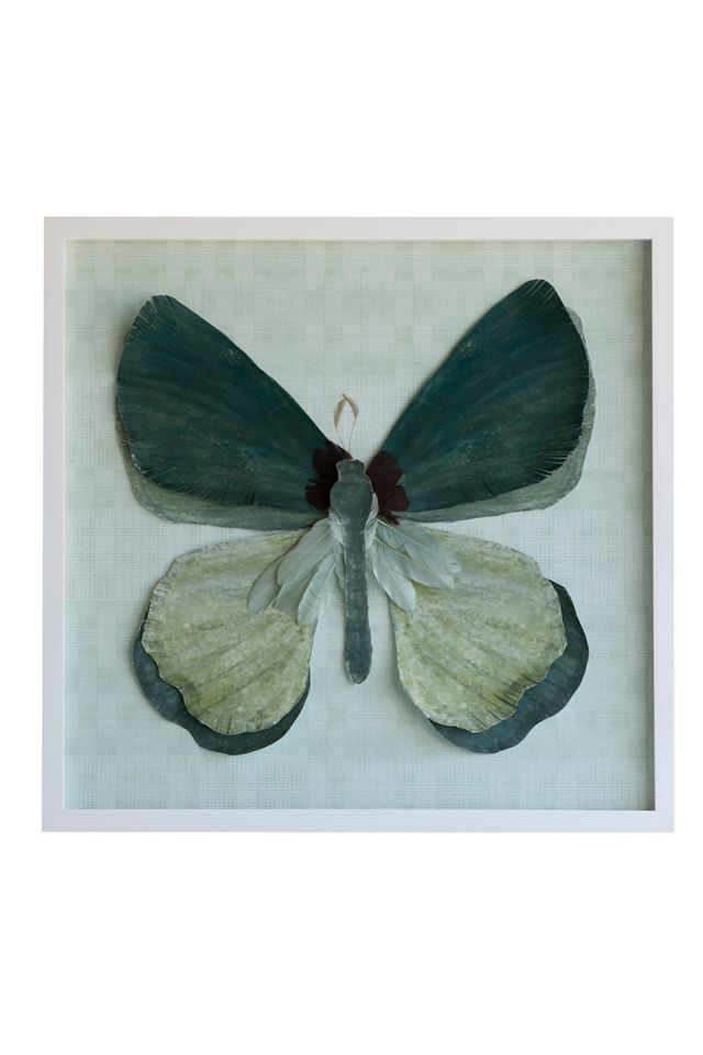 Dimensional Butterfly with Feathers Wall Art #1