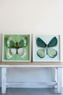 Dimensional Butterfly with Feathers Wall Art