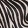 Zebra Haircalf