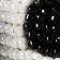 Black Dot