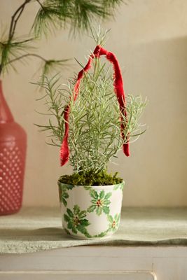 Holly Lattice Italian Earthenware Pot