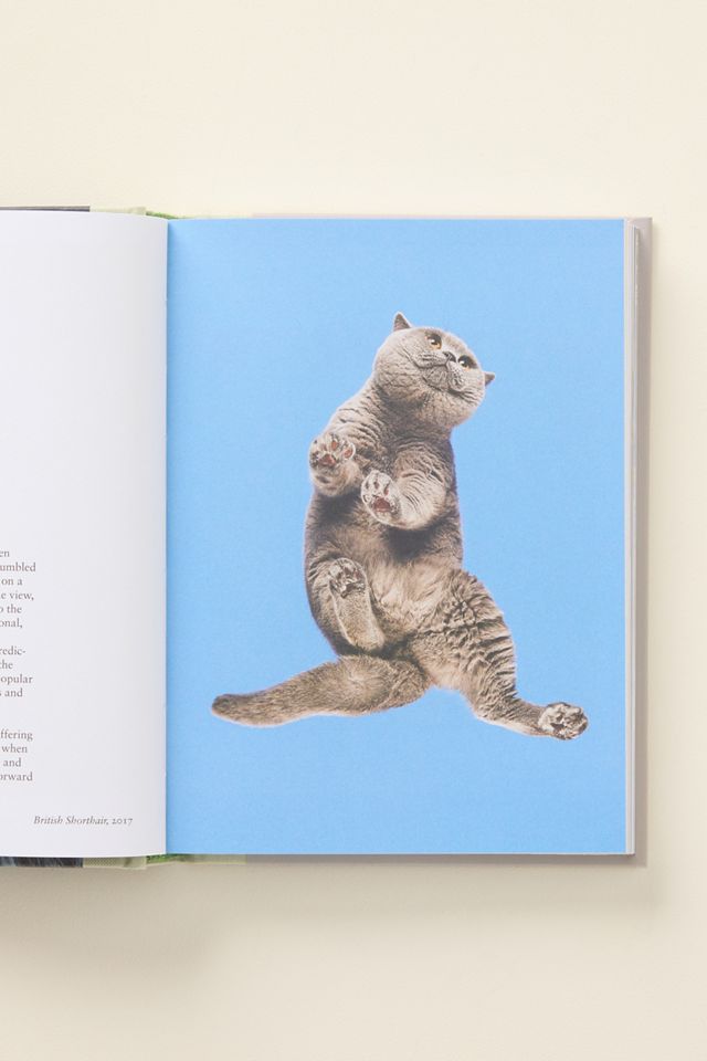 New Photography Hardcover Book #1
