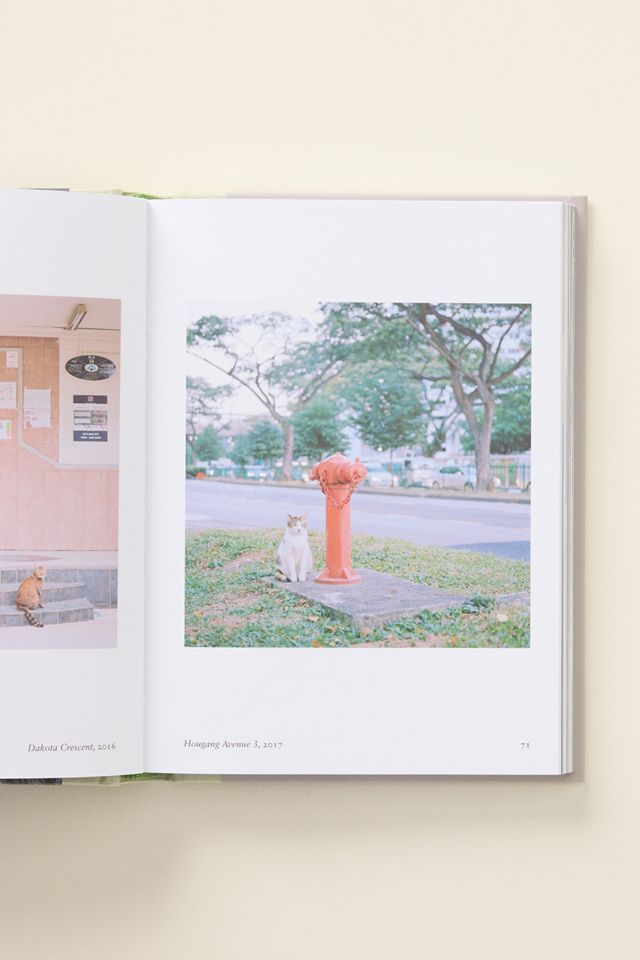 New Photography Hardcover Book #2