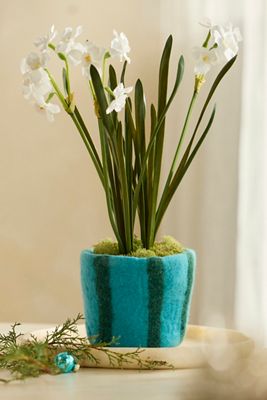 Terrain Felt Pot Cover