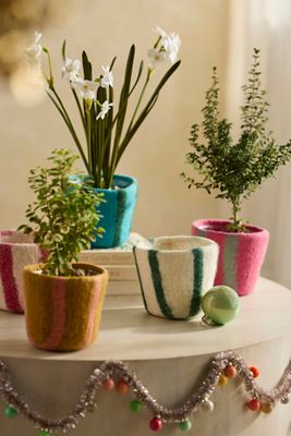 Felt Pot Cover