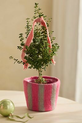 Terrain Felt Pot Cover