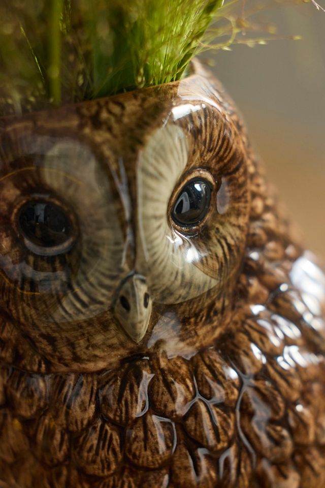 Quail Ceramics Tawny Owl Vase #1