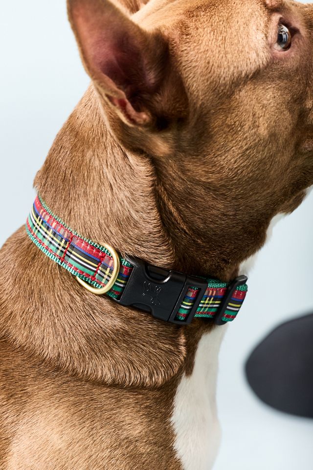Up Country Holiday Sparkle Plaid Dog Collar #1
