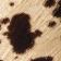 Brown Pattern