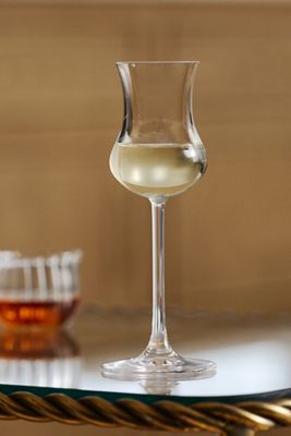 NUDE Vintage Grappa 3 oz. Glasses, Set of 2