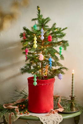 【美品】TheArth×NATAL DESIGN床上手 AIOT! ver. Terrain Decorated + Potted Littlest Living Tree | Anthropologie