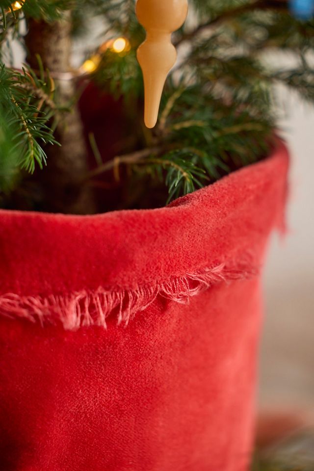 Littlest Living Tree #1
