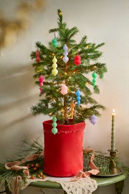 Littlest Living Tree