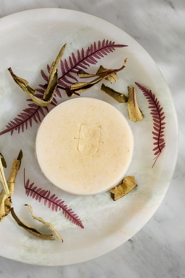 Fall Exfoliant Body Bar #1