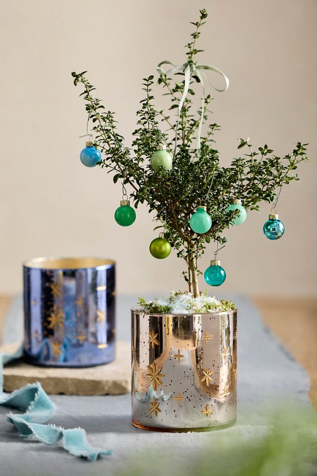 Terrain Celestial Glass Planter #1