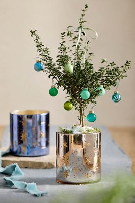 Celestial Glass Planter
